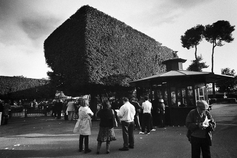 http://www.pierluigimulas.com/files/gimgs/3_hippo600--8.jpg